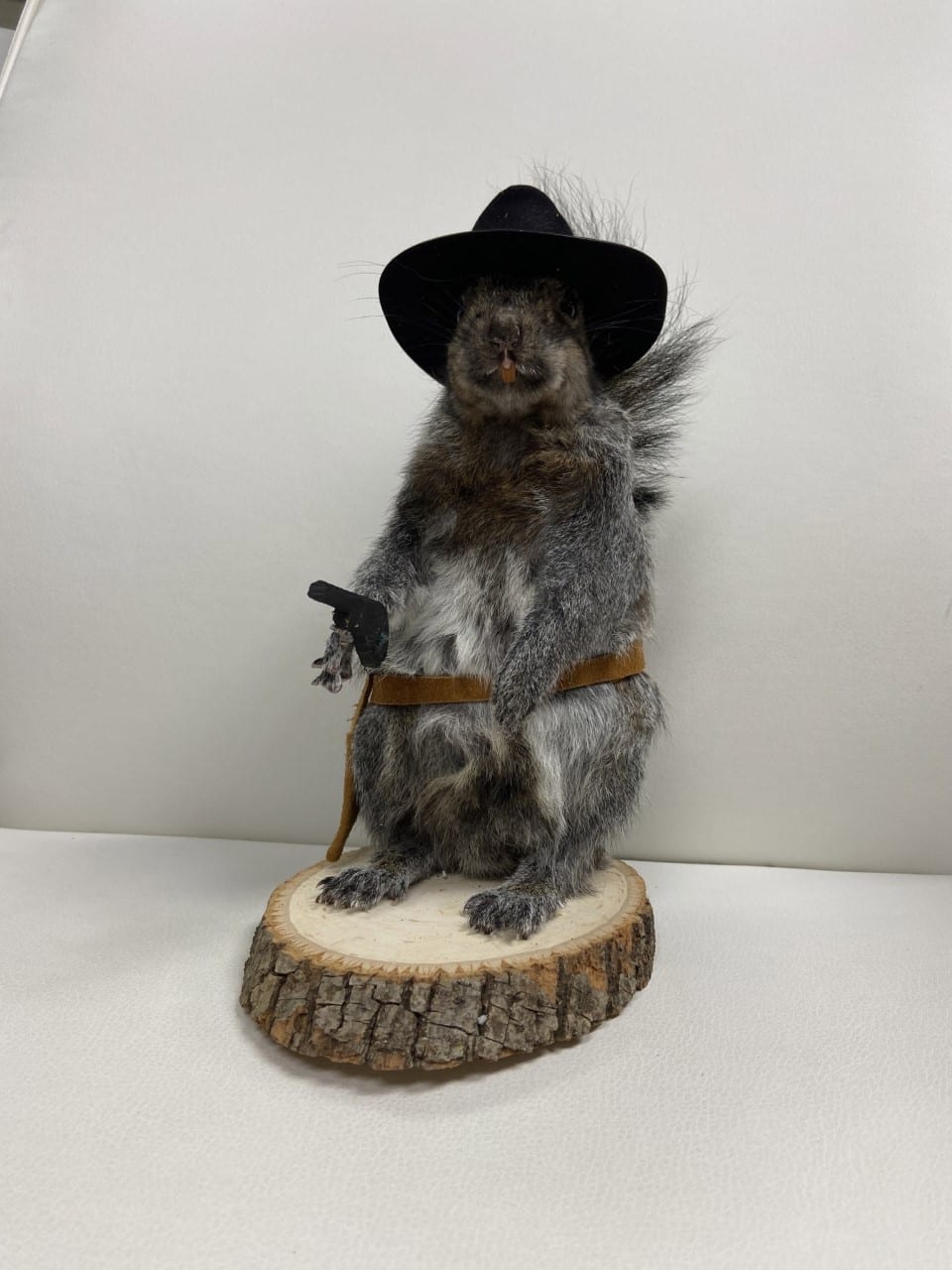 Taxidermy - BSTrading