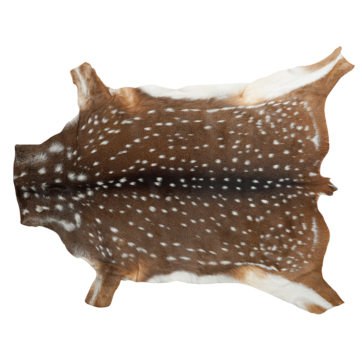 Axis Deer Hides