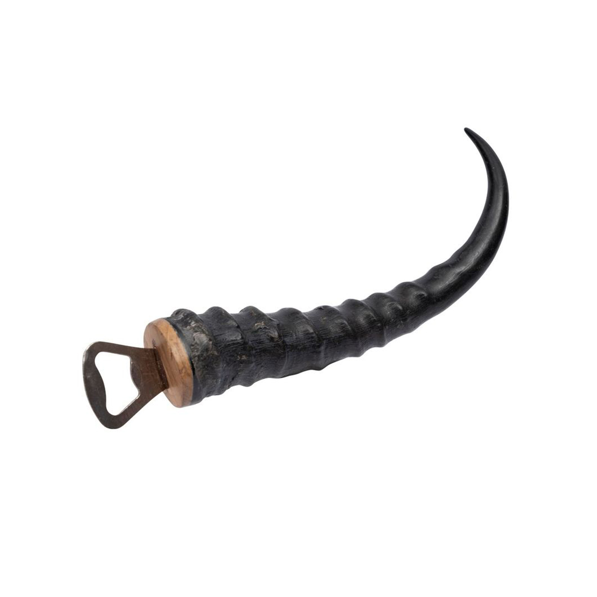 Bottle Opener