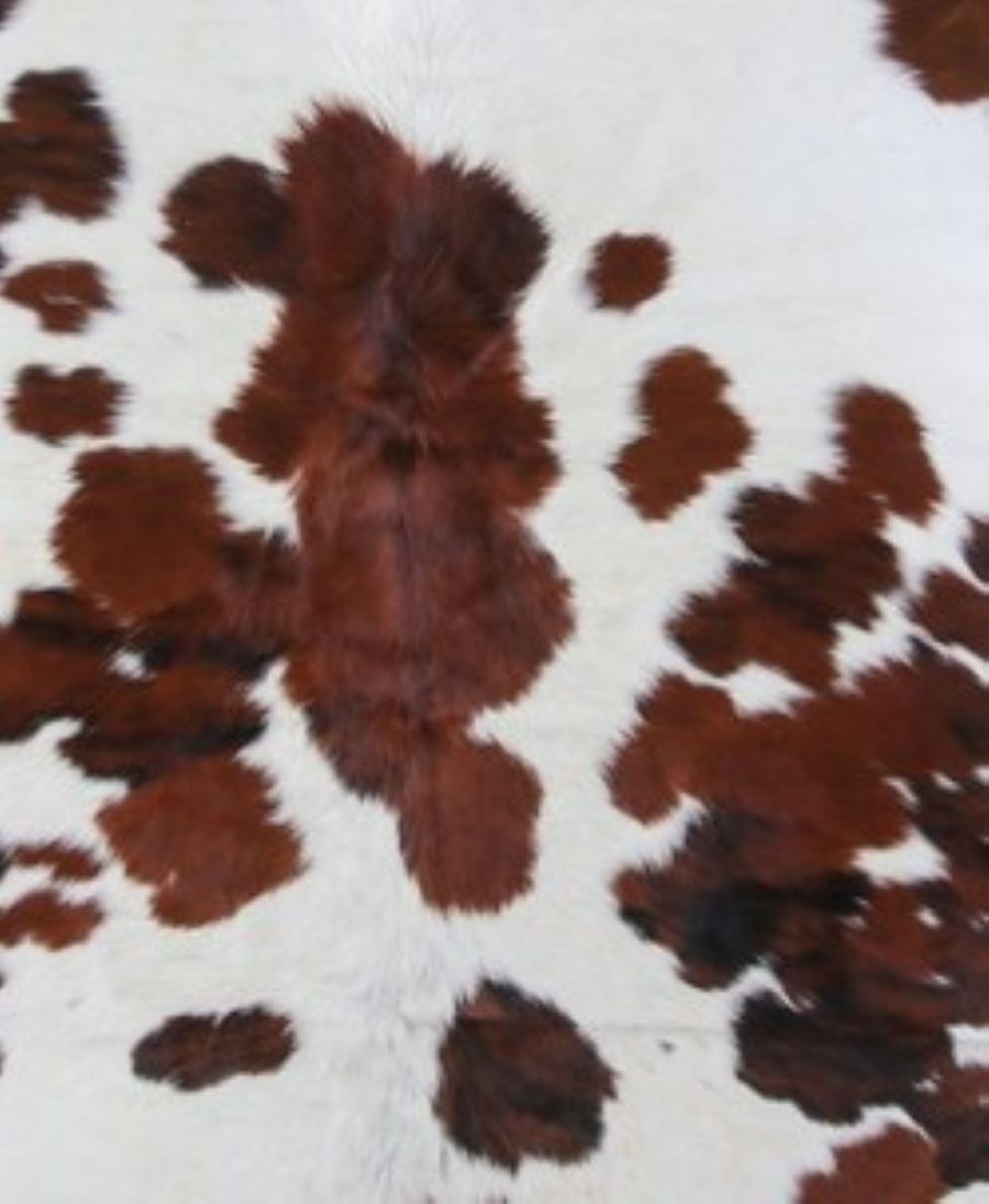 2 Foot Cowhide Bench