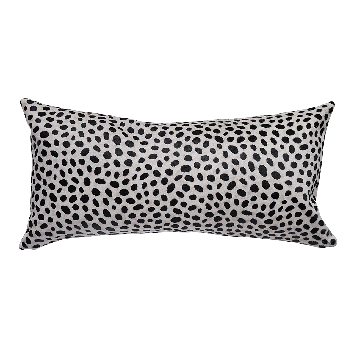 Cheetah on White