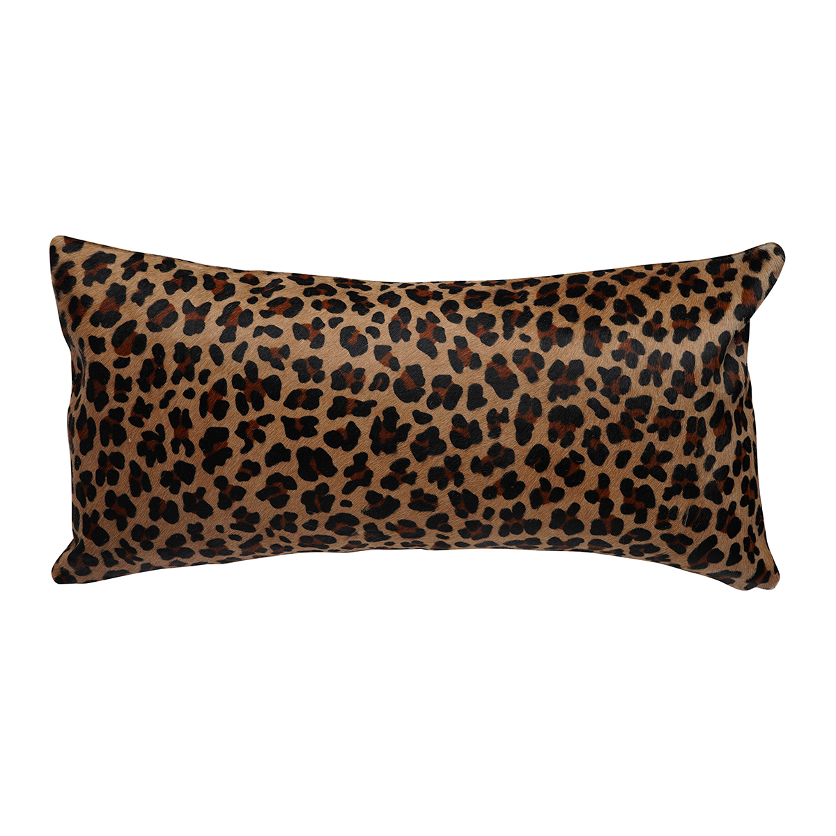 Leopard on Tan