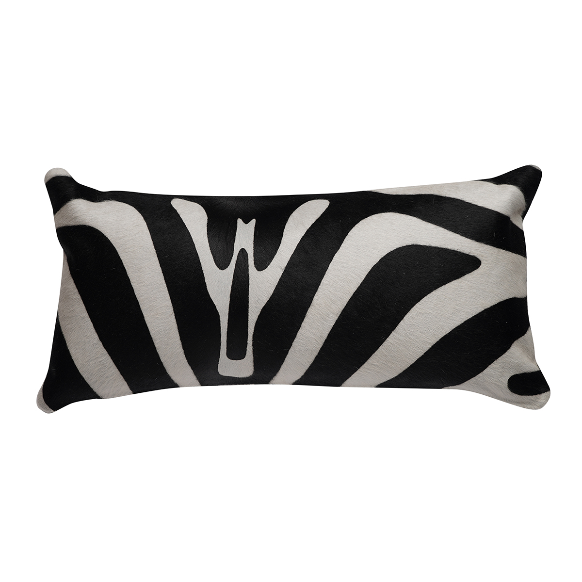 Zebra on White