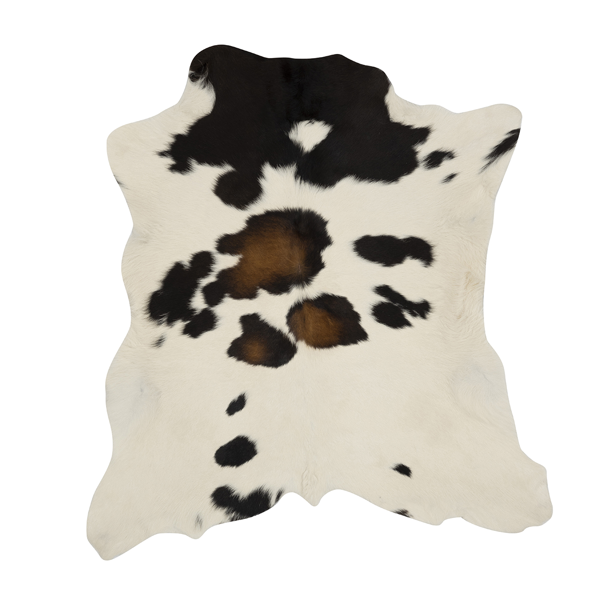 Tricolor Cloudy Calf