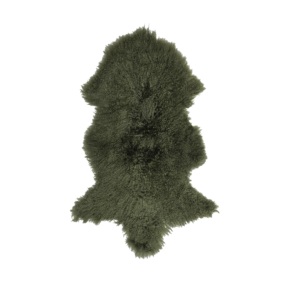 18 Olive