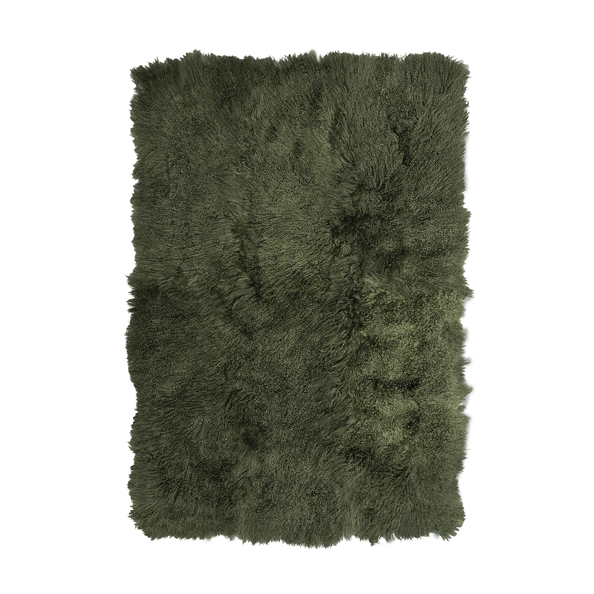 18 Olive