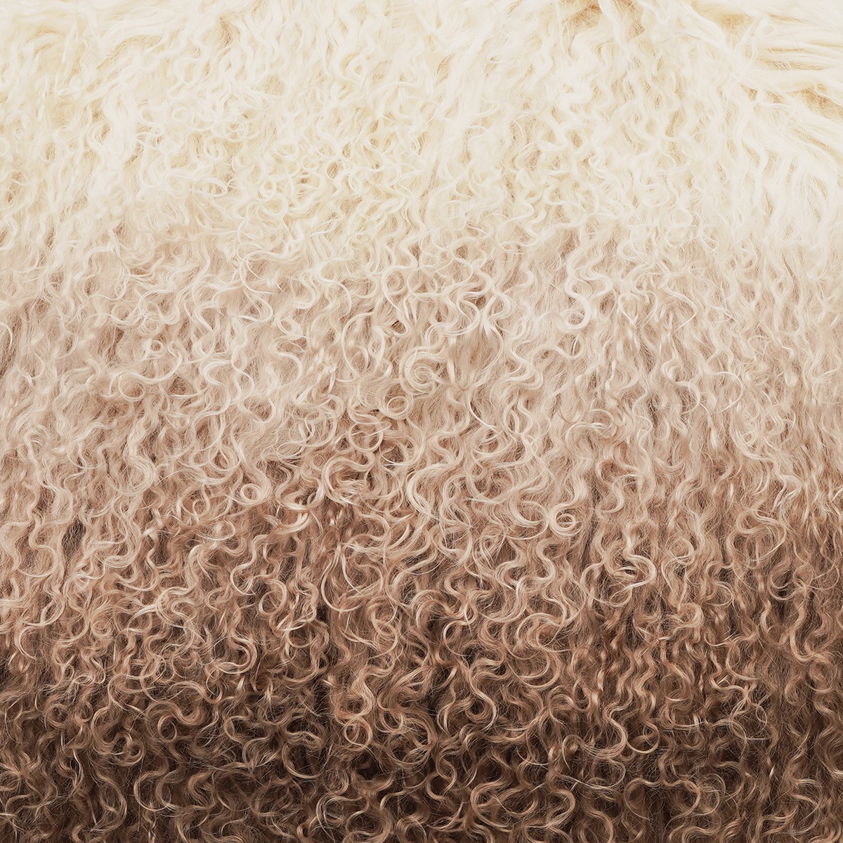 28 Champagne Ombre