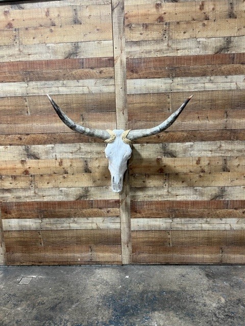 Longhorn Skulls