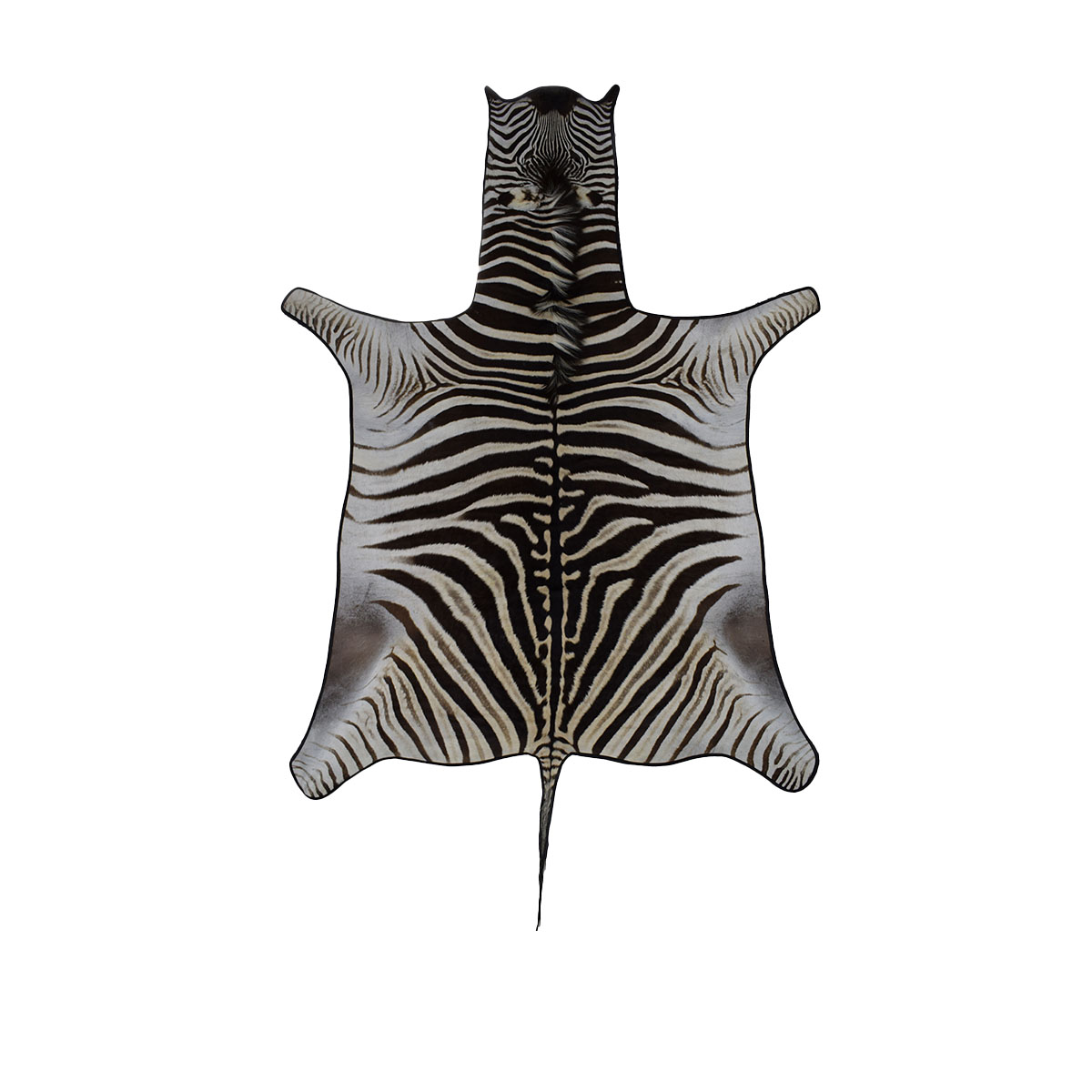 Zebra Hide-Backed and Trimmed