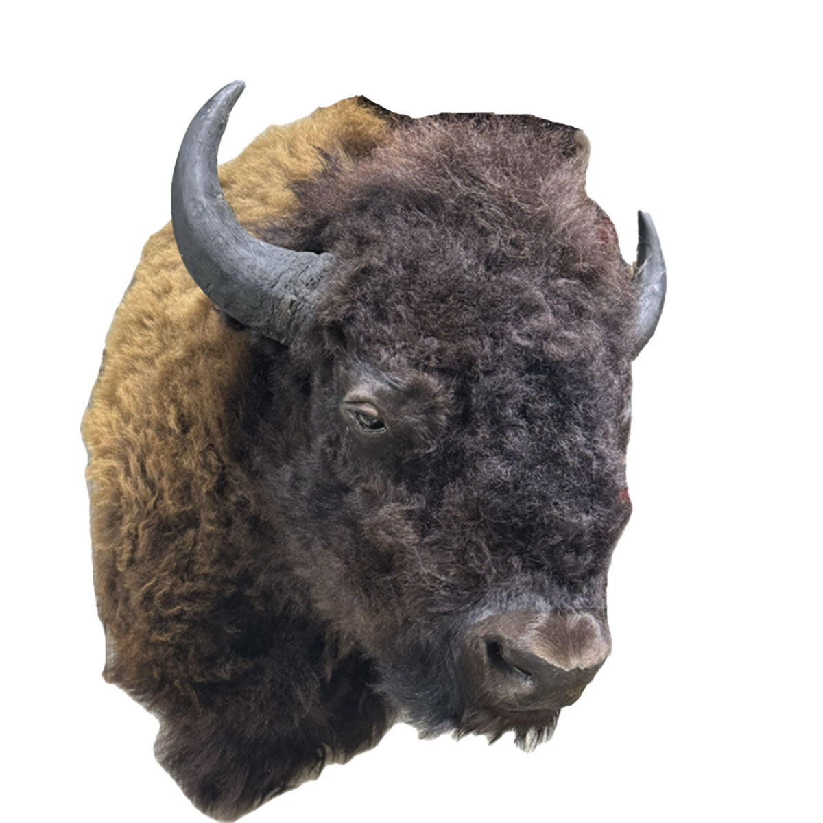 Buffalo XL Shoulder Mount