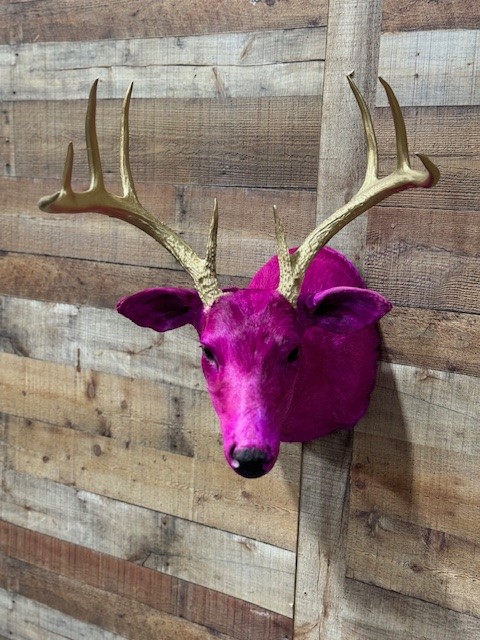 Dyed Whitetail