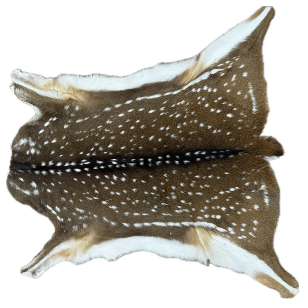 Axis Deer Hides
