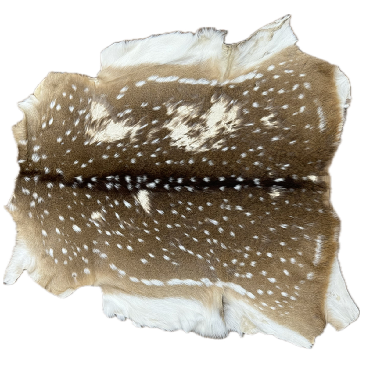 Axis Deer Hides