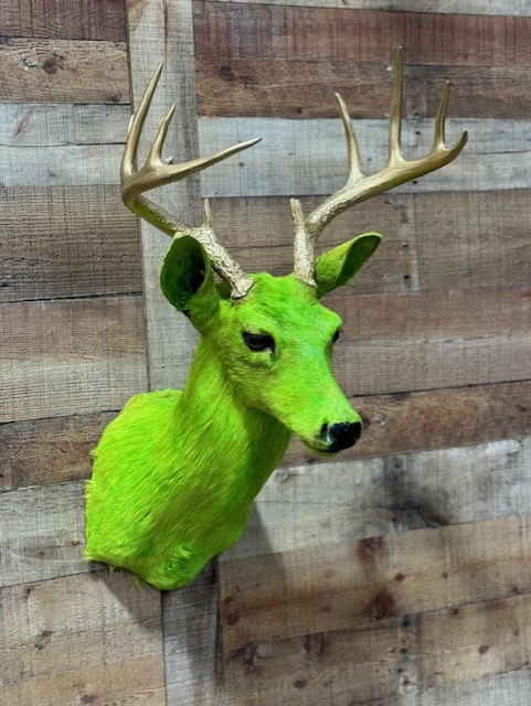 Dyed Whitetail