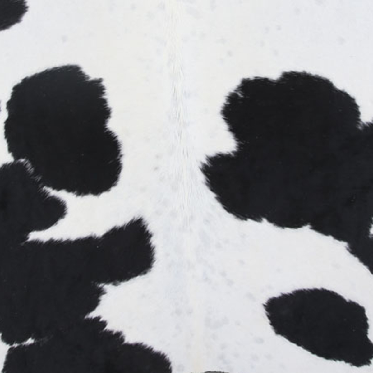 2 Foot Cowhide Bench