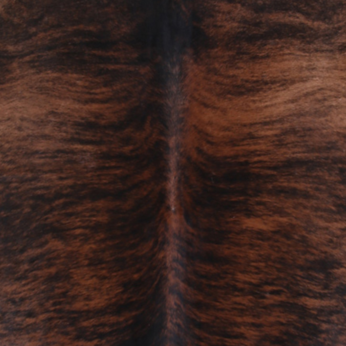 2 Foot Cowhide Bench