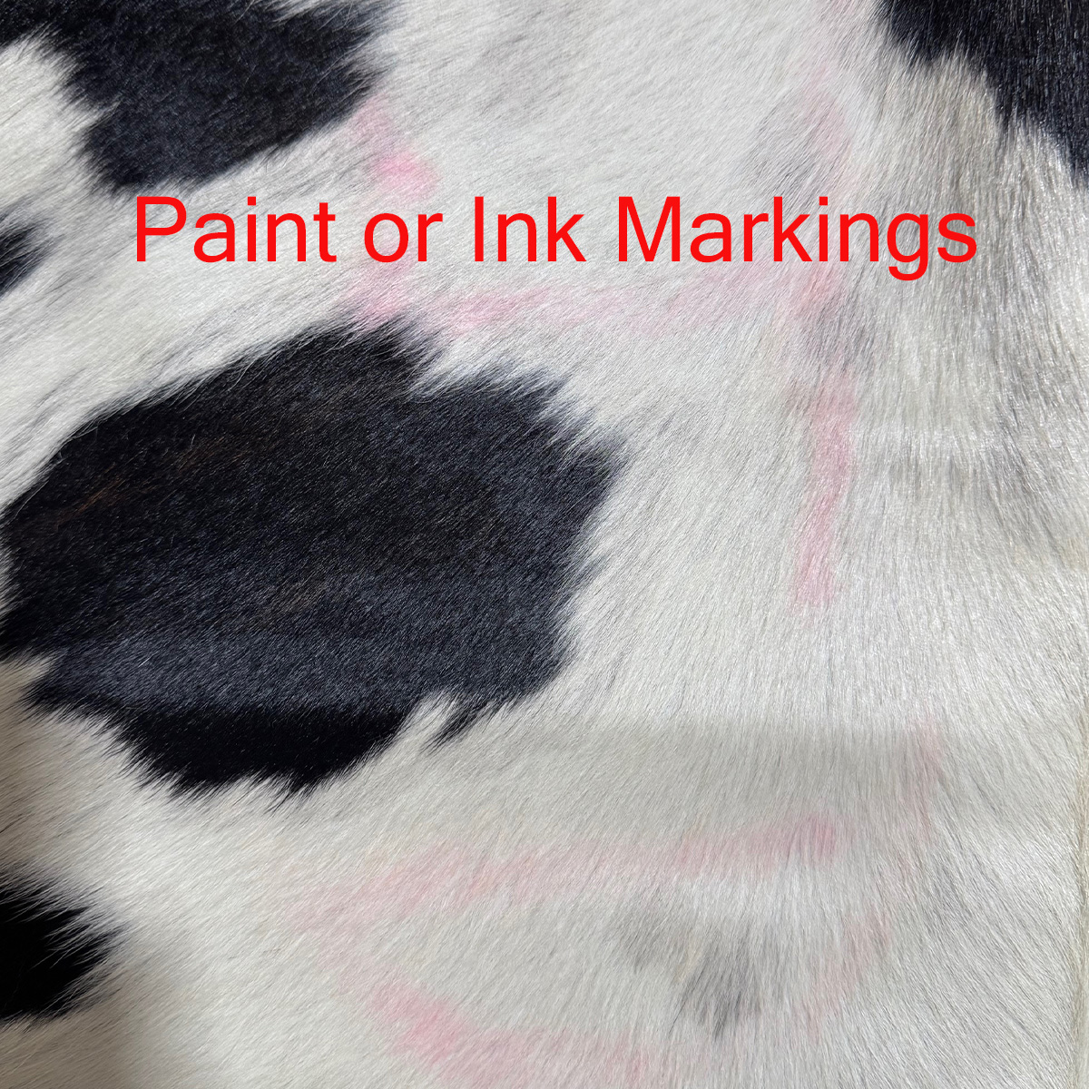 Lg B Grade Cowhides