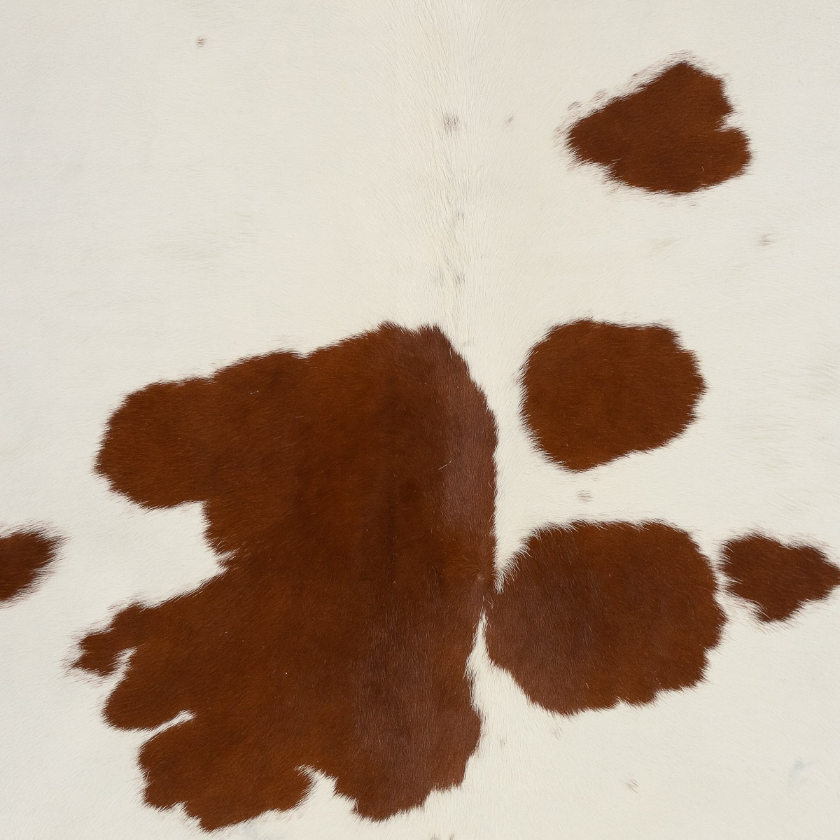 MD Brown & White Cloudy