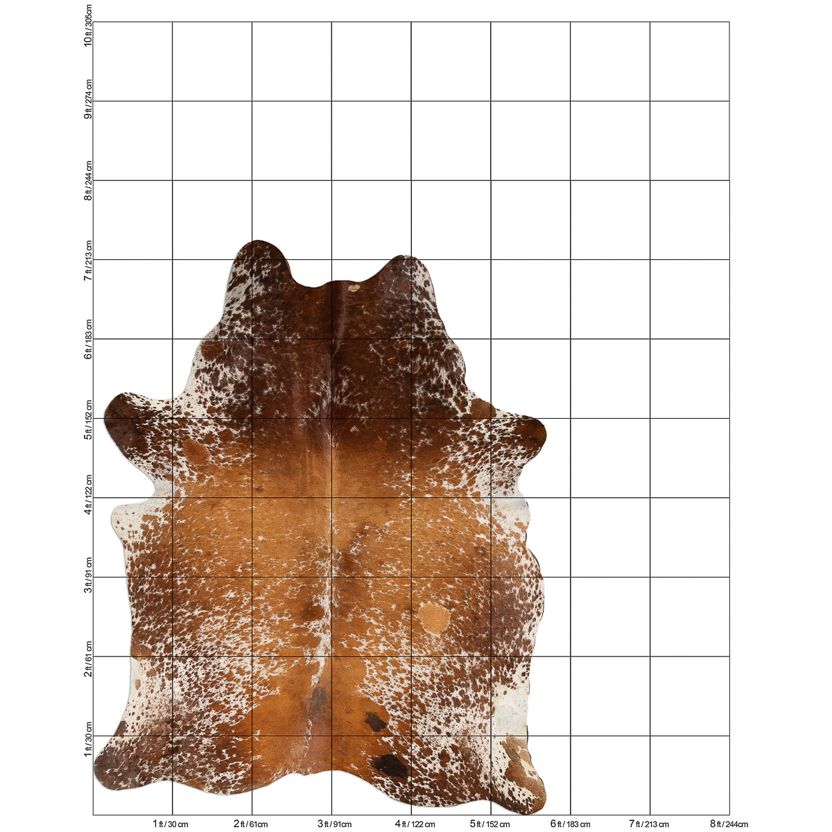 MD Brown SP