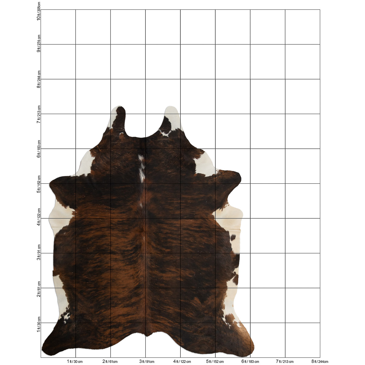 MD Brindle