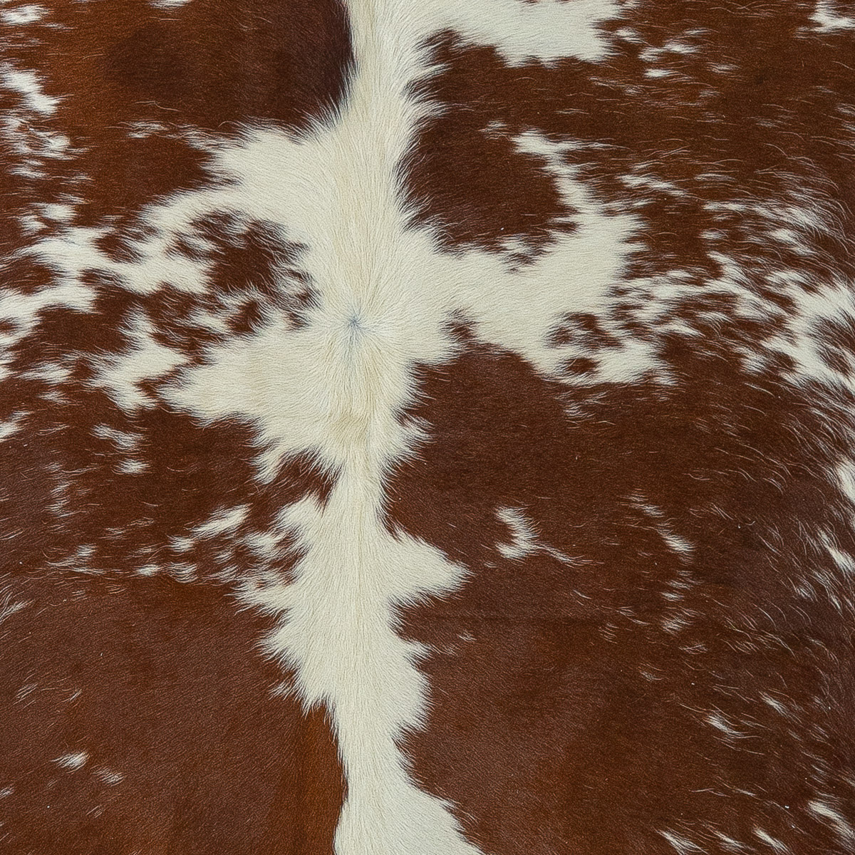 Md Brown & White