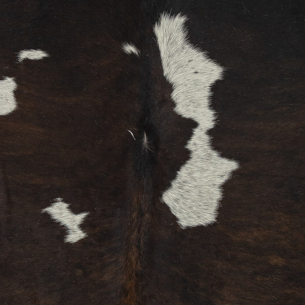 Lg Chocolate & White