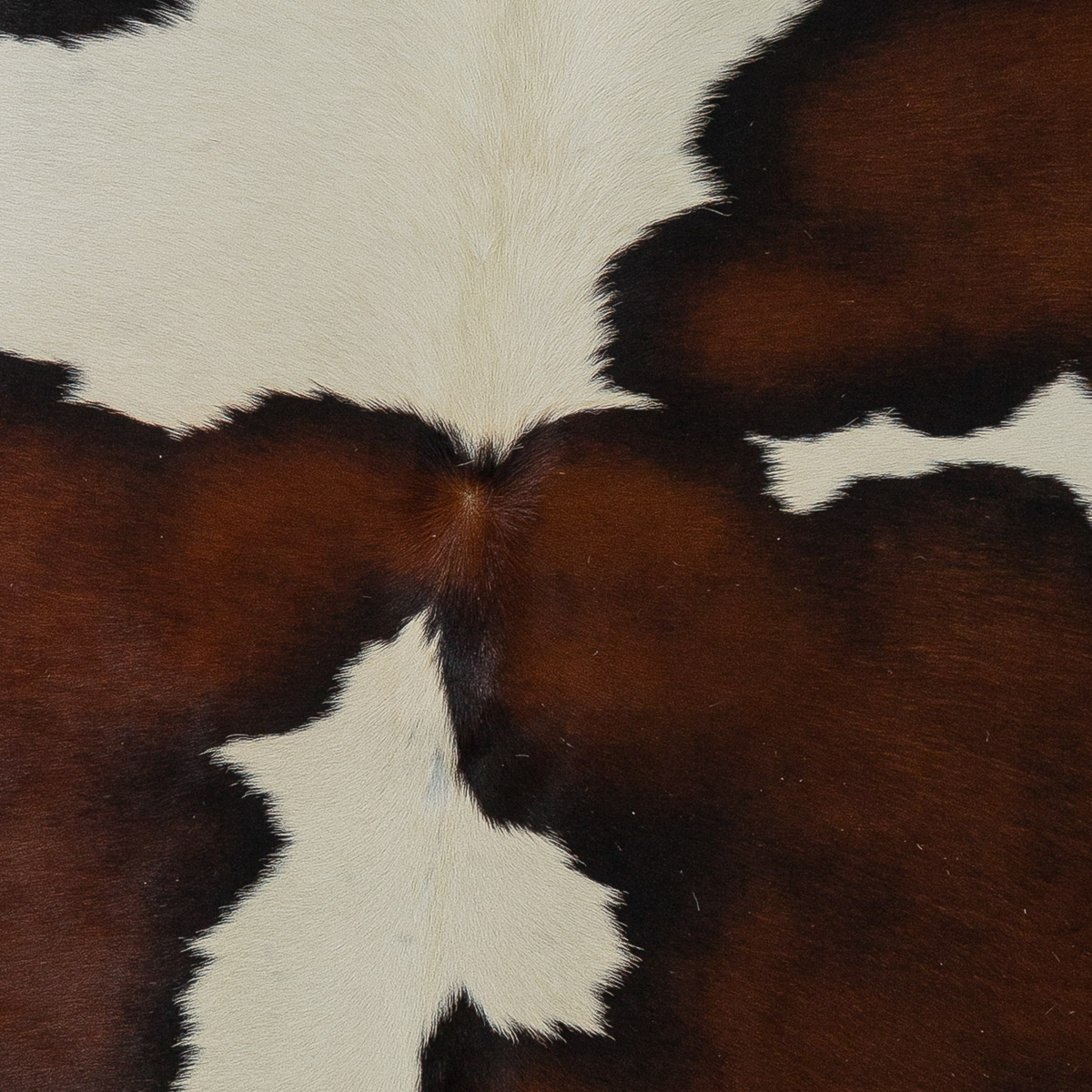 XL Tricolor Cloudy