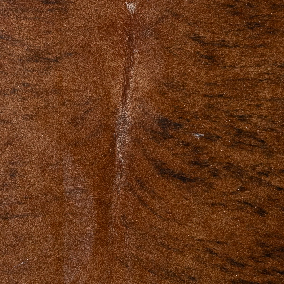 Lg Brindle