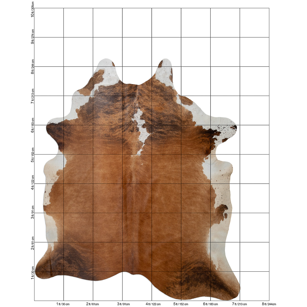 XL Brindle-ISH