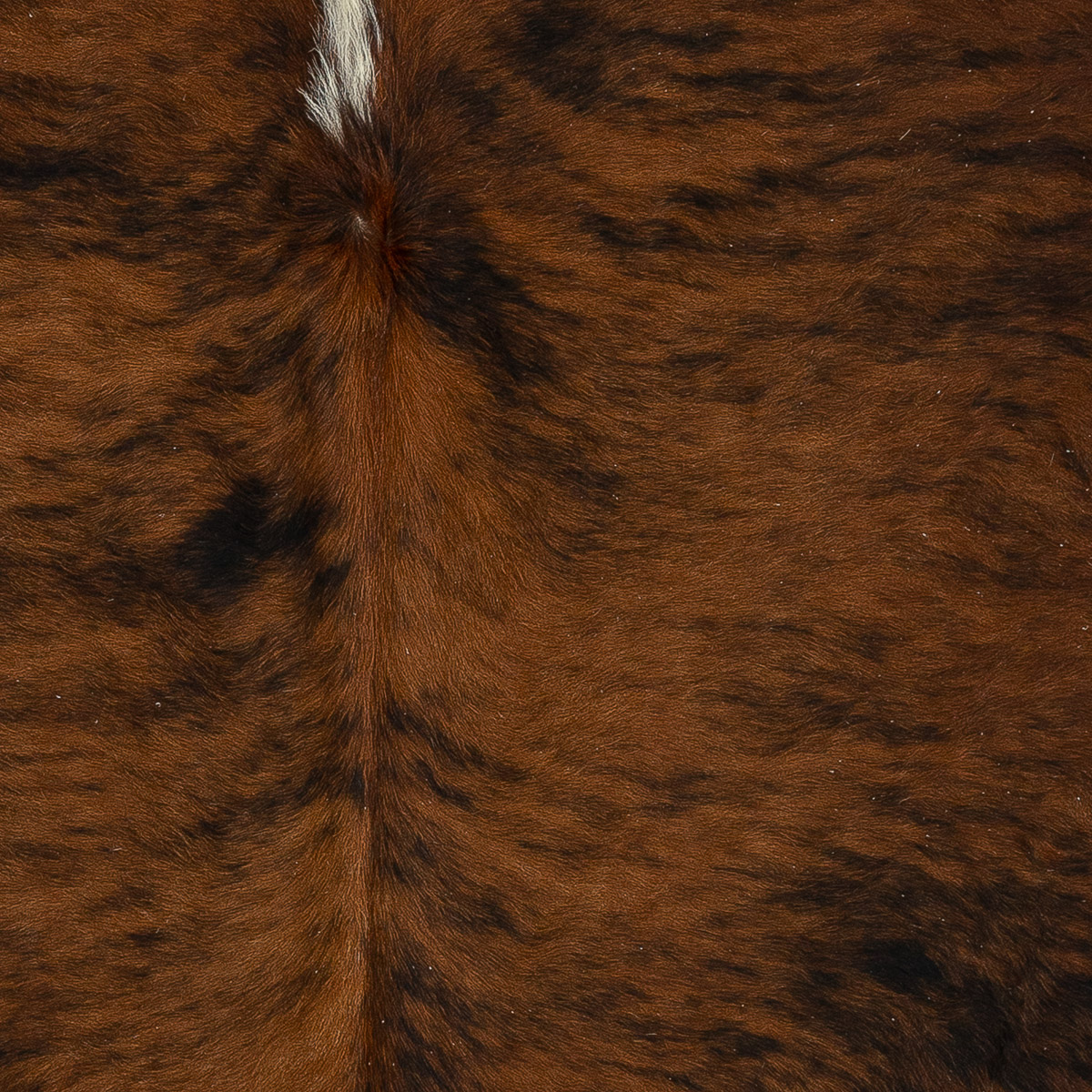 Lg Brindle