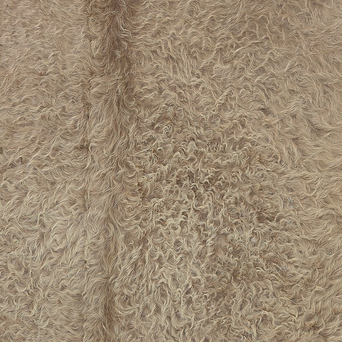Lg Champagne