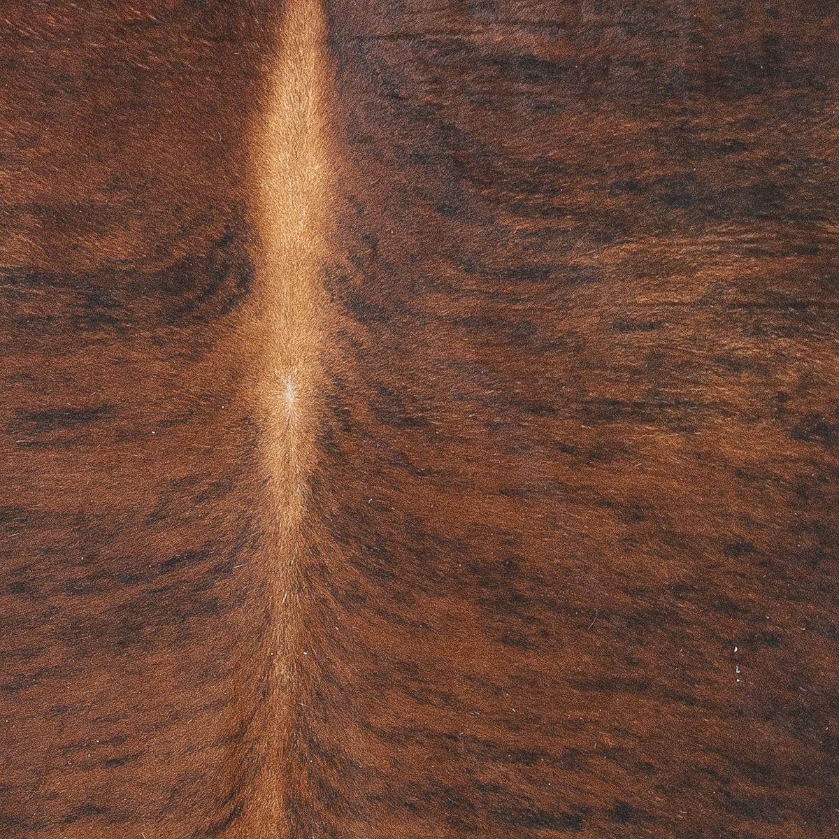 Lg Brindle