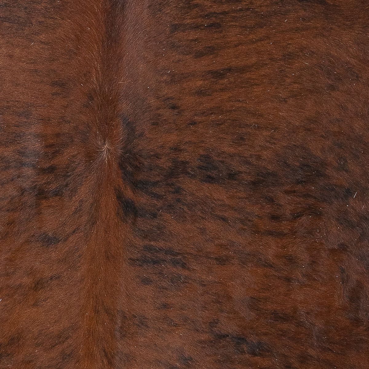 Lg Brindle