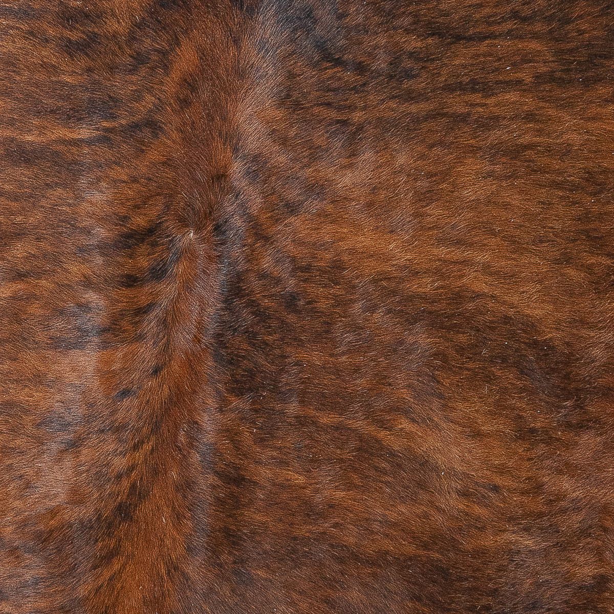 Lg Brindle