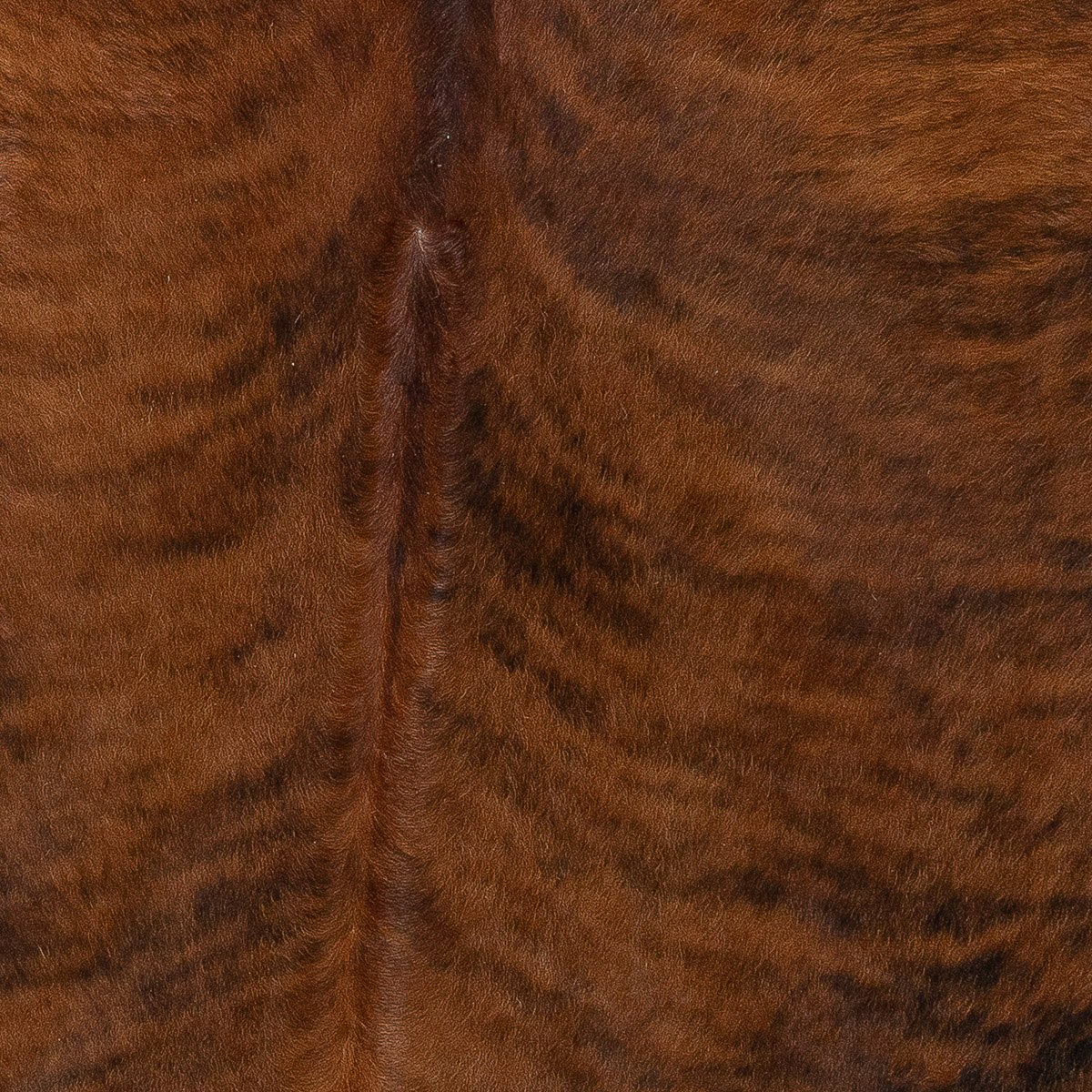 Lg Brindle