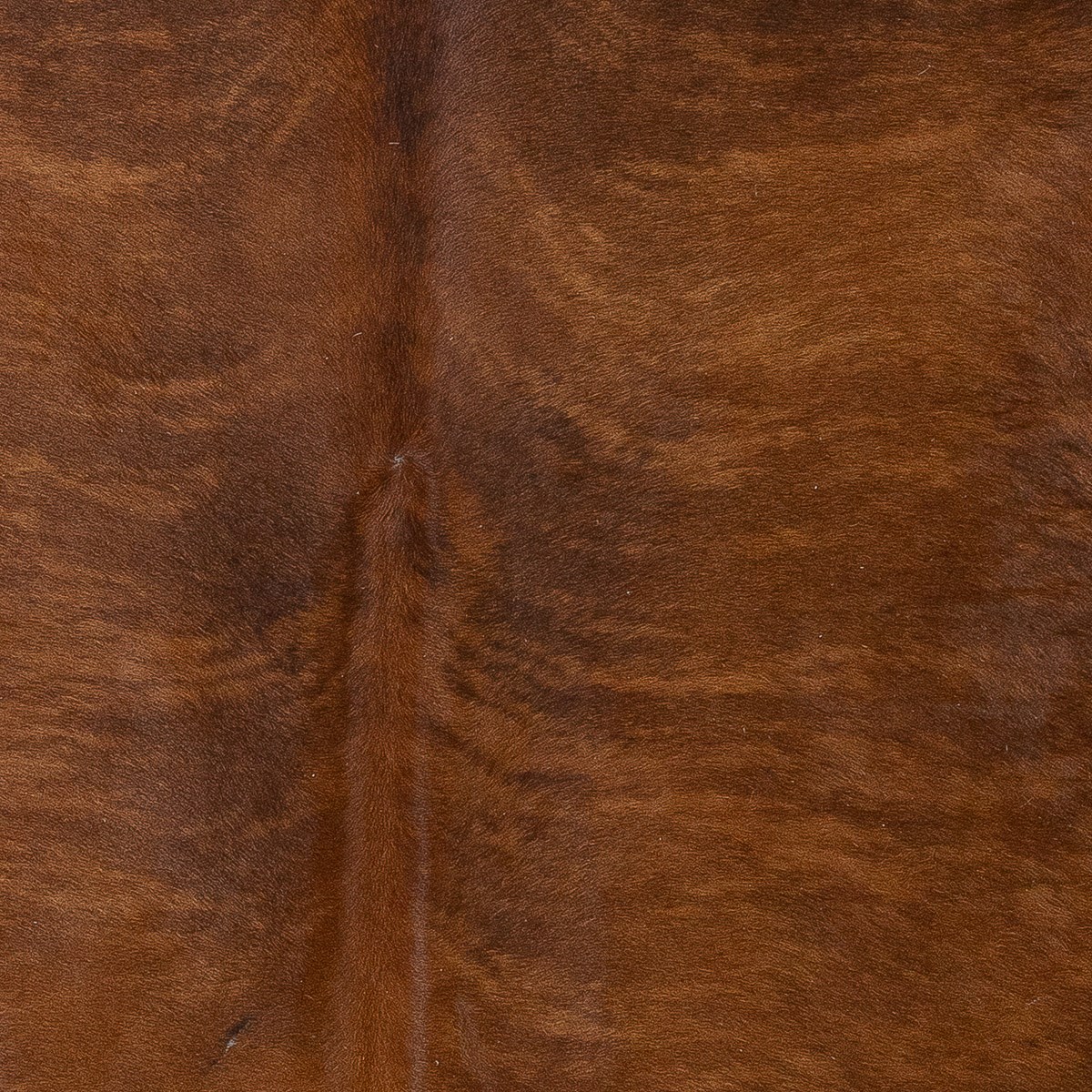 Lg Brindle