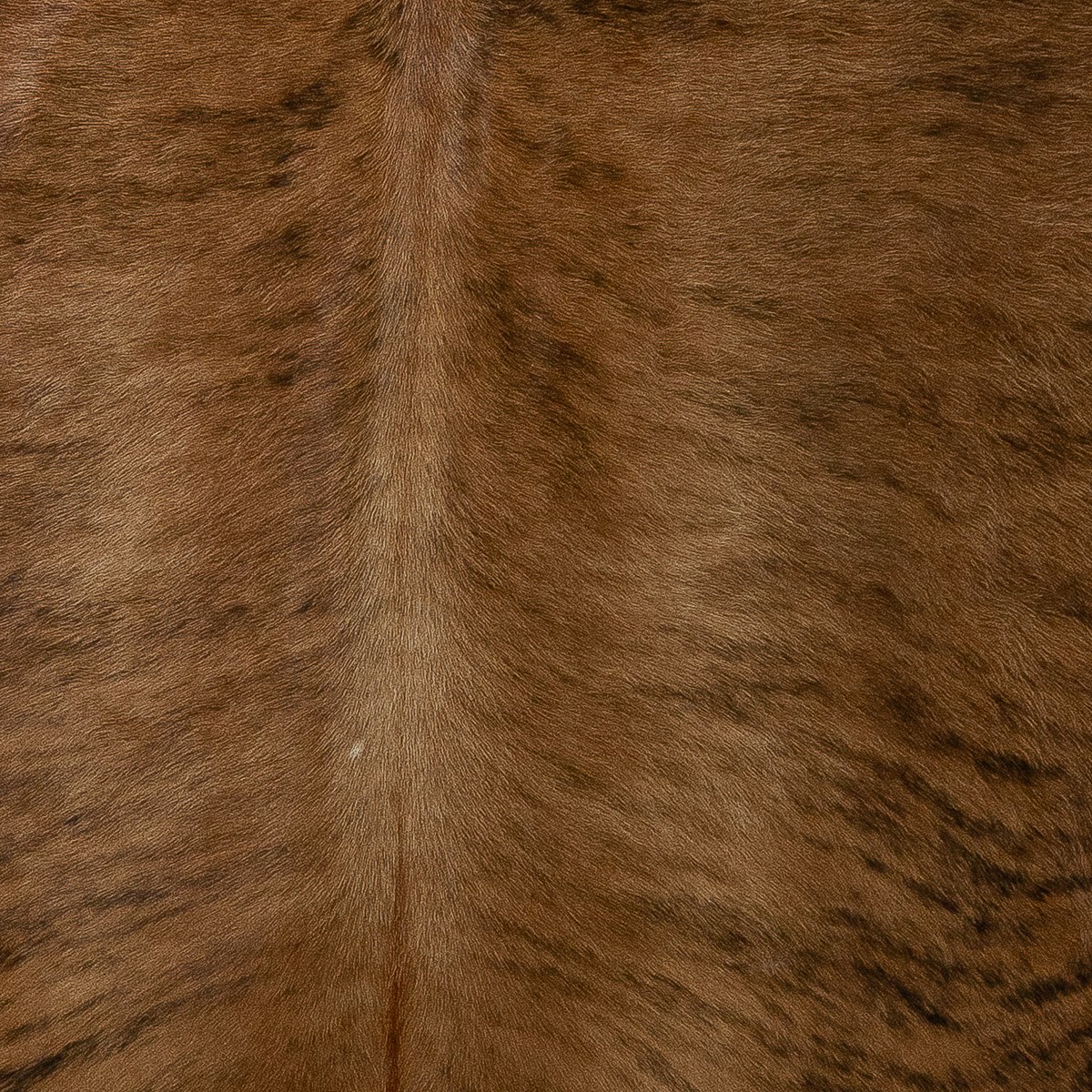 Lg Brindle