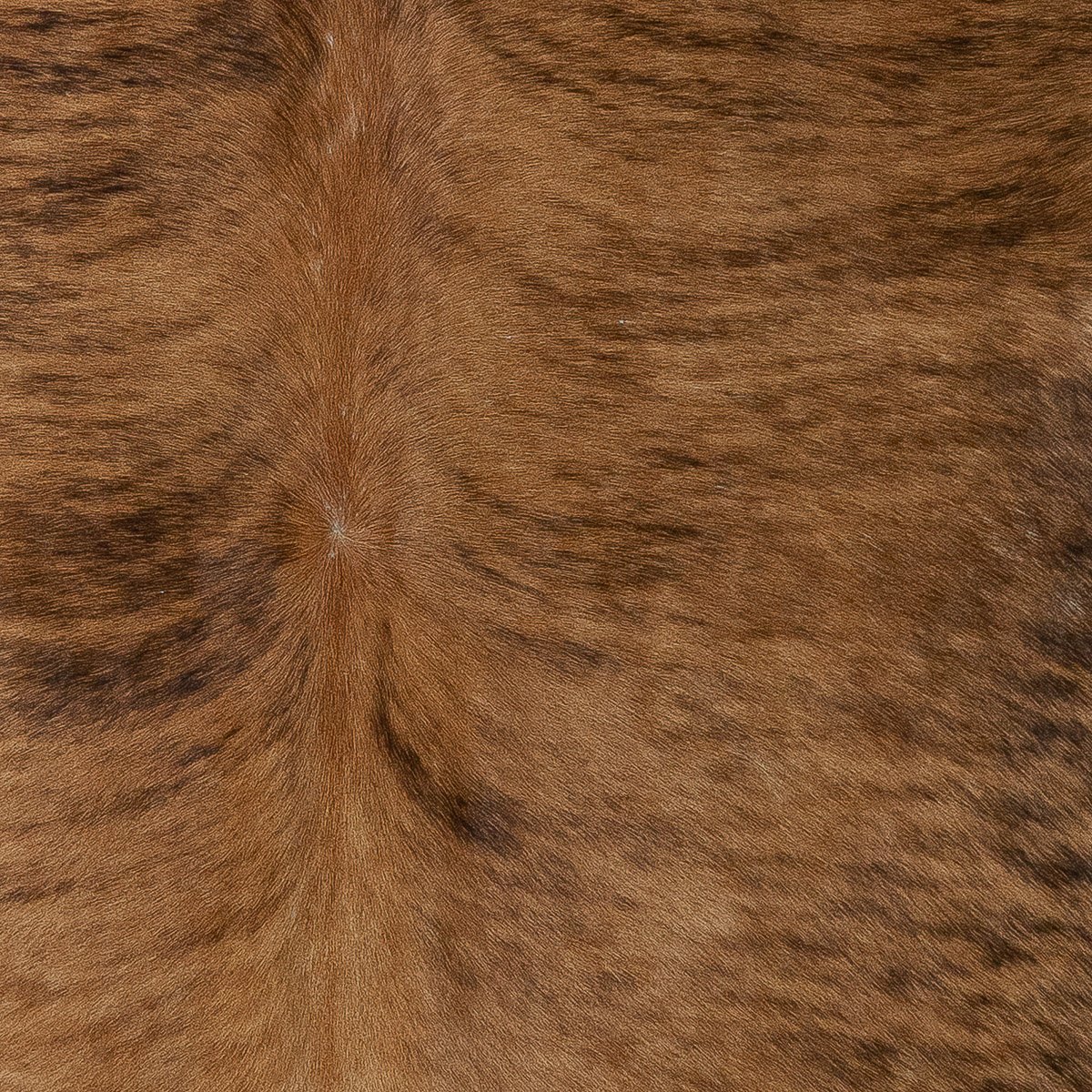 Lg Brindle