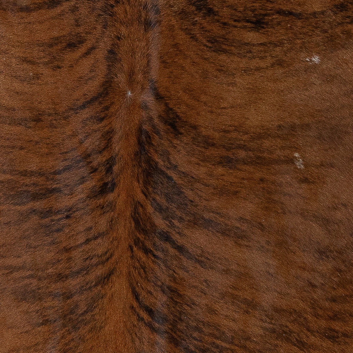 Lg Brindle