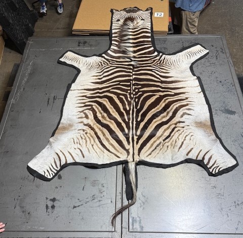 Zebra Hides