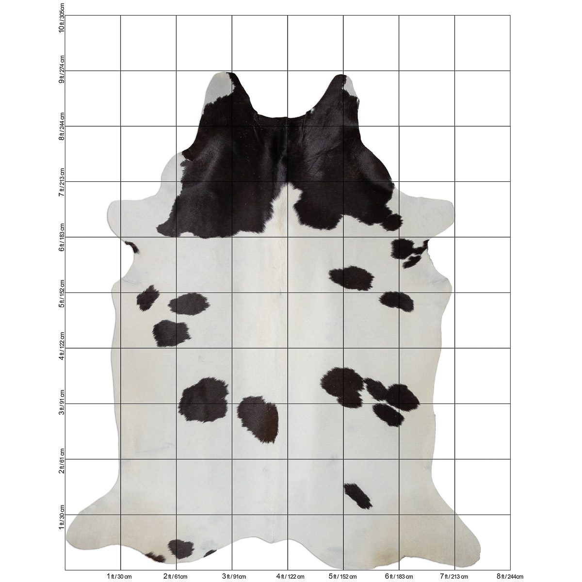 XL Black & White