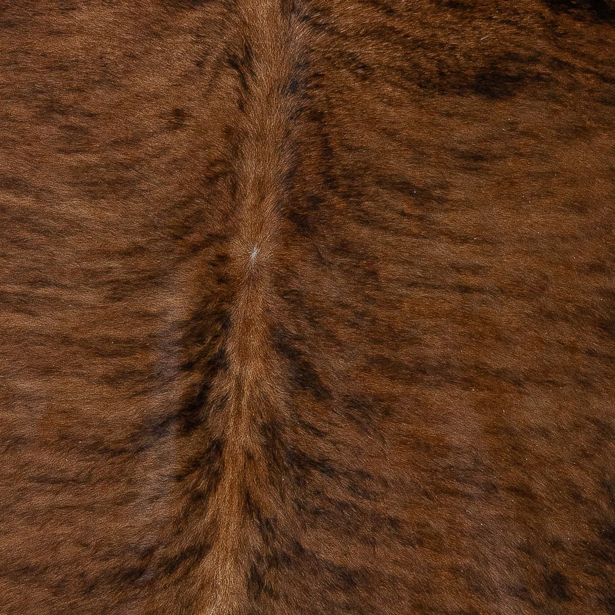 Lg Brindle