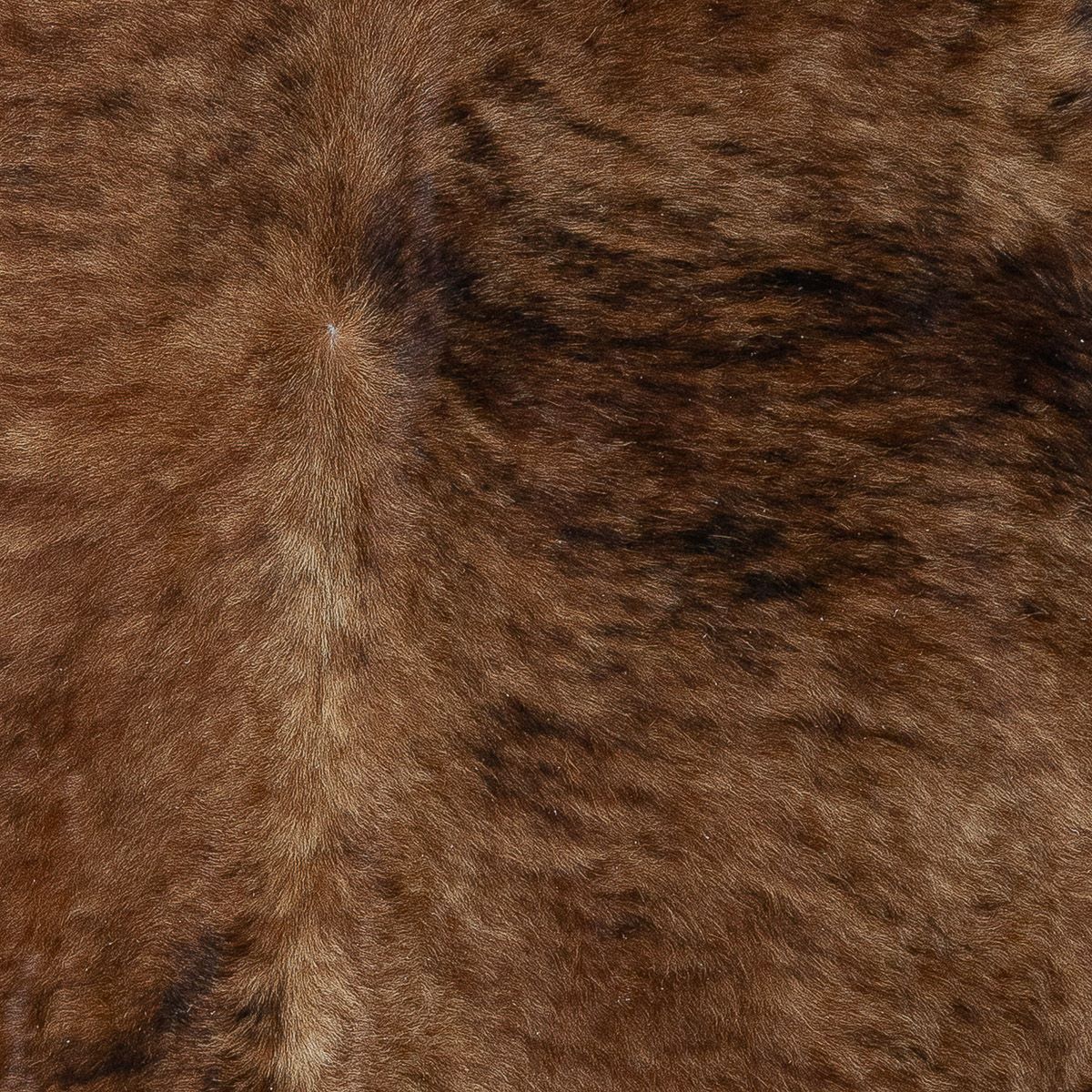 Lg Brindle