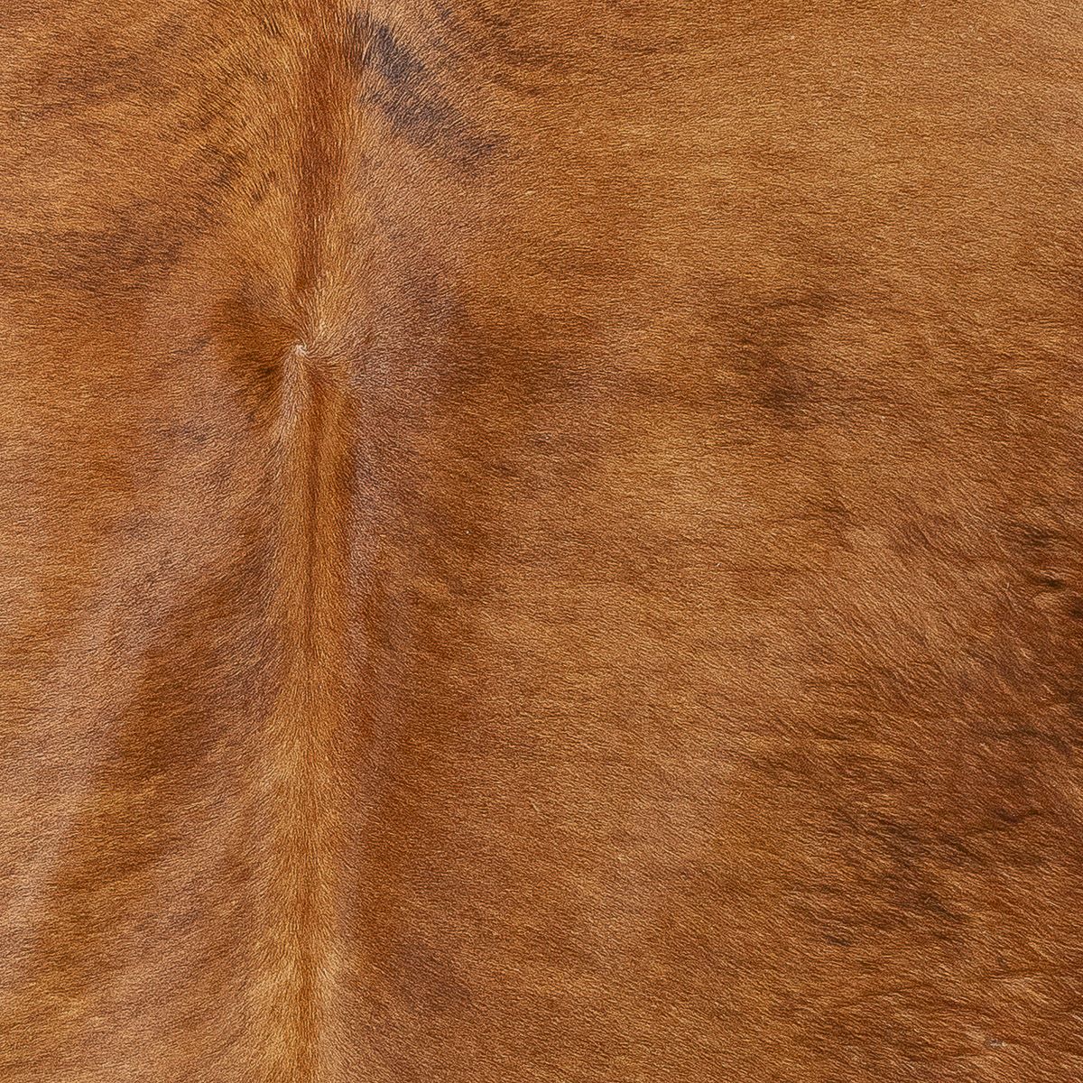 Lg Brindle