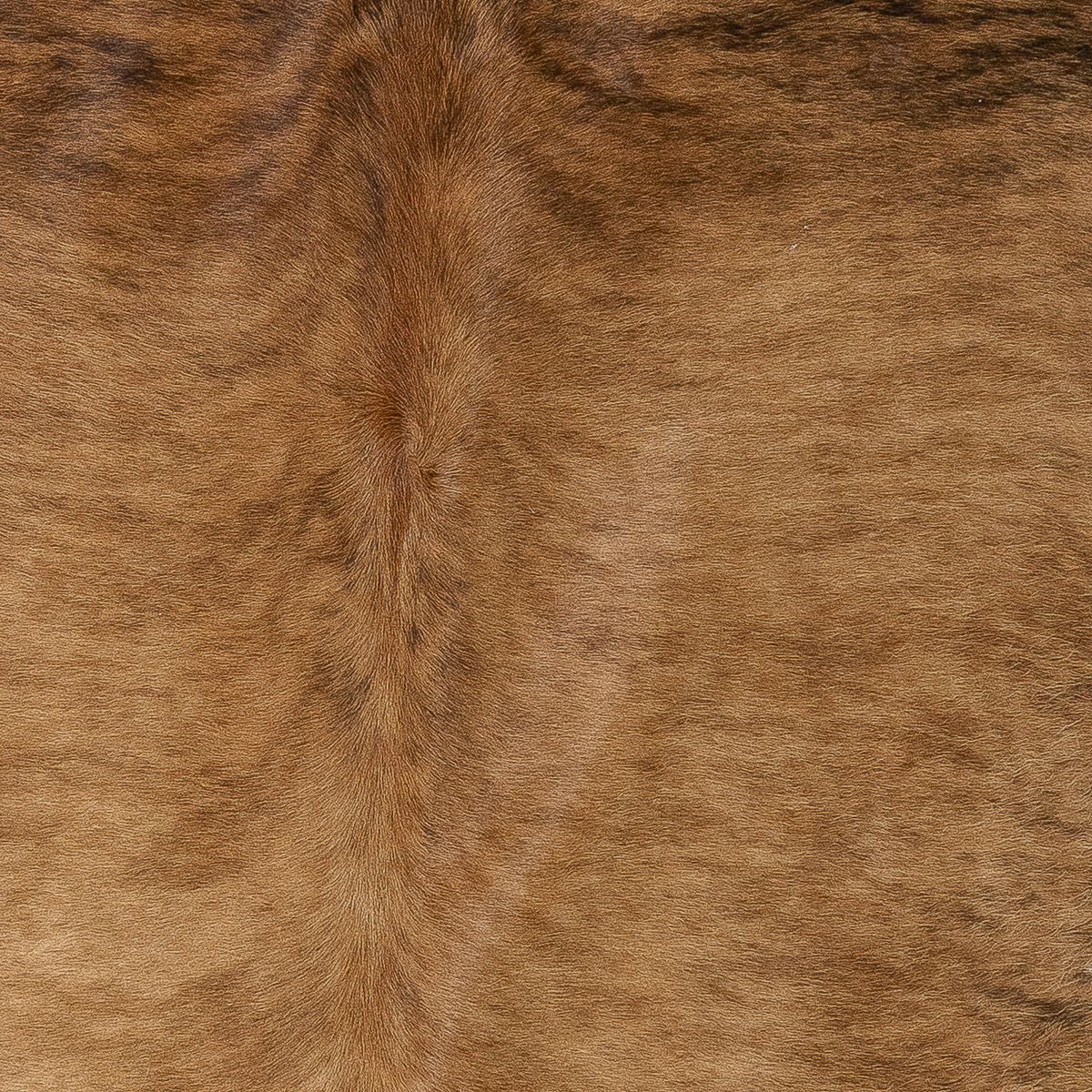 Lg Brindle