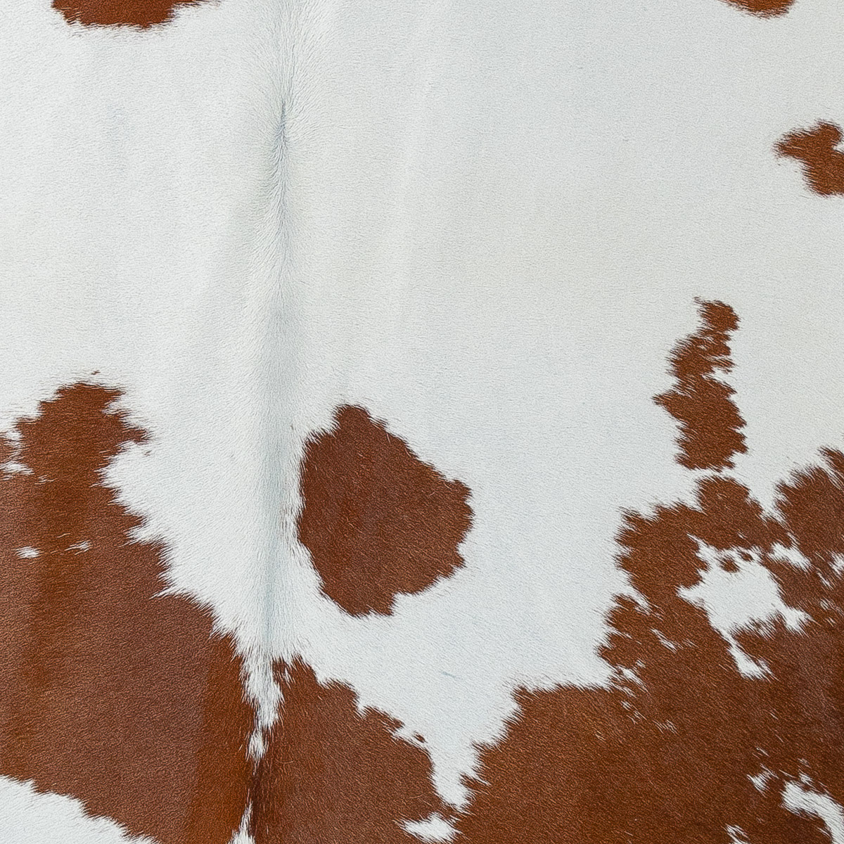 Lg Brown & White