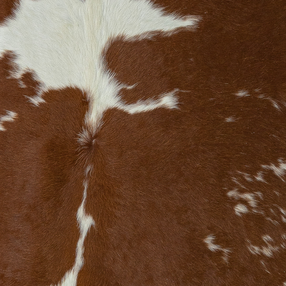 Lg Brown & White