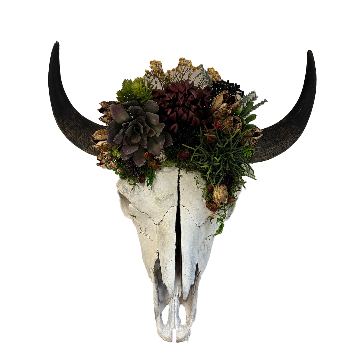 Floral Buffalo Skulls