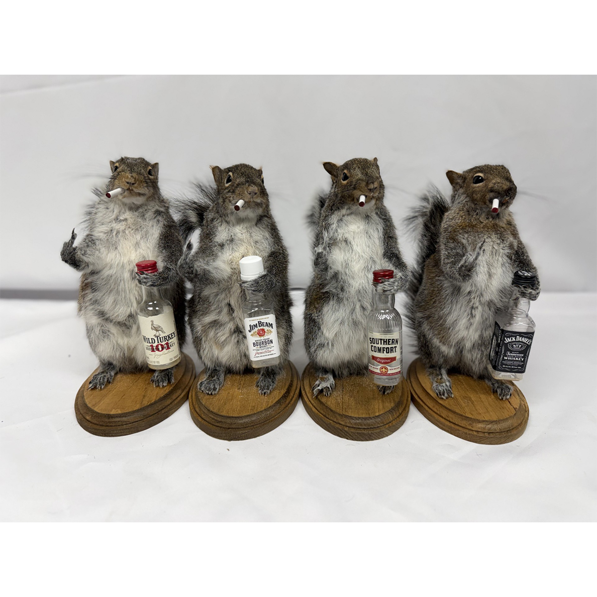 Whiskey Squirrel